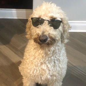 Meet your Posher, Jake